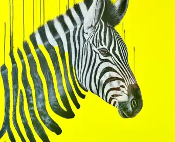 Louise McNaught