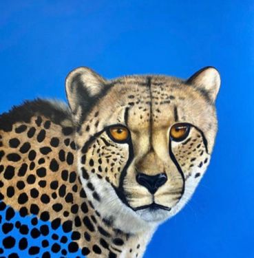 Click Here To Enlarge This Photo Of Take A Walk On The Wild Side !!!