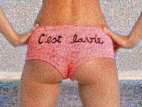 Click Here To Enlarge This Photo Of New Artwork by the Incredible Joel Moens De Hase