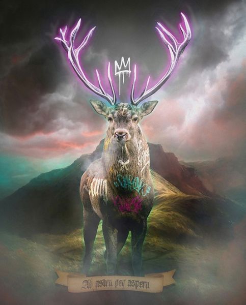 Click Here To Enlarge This Photo Of Highland Hunk