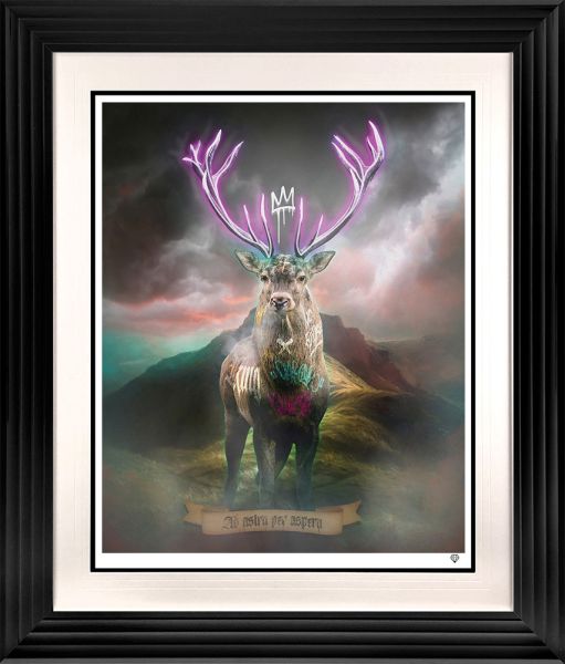 Click Here To Enlarge This Photo Of Highland Hunk