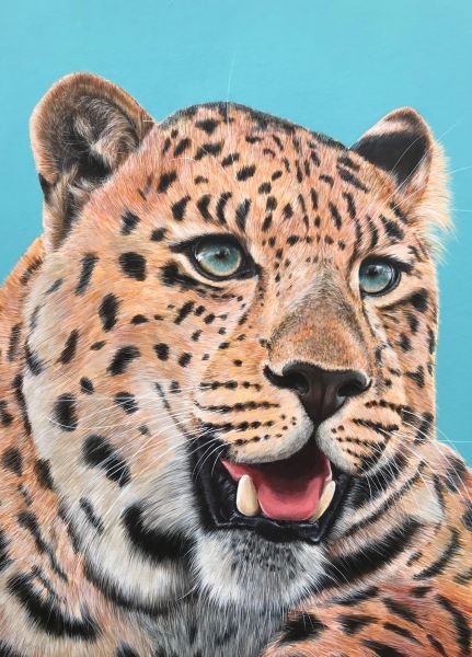 Click Here To Enlarge This Photo Of Endangered Majesty