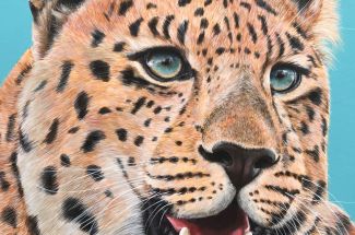 Jo GrayEndangered MajestyOriginal ~ Acrylic on Paper