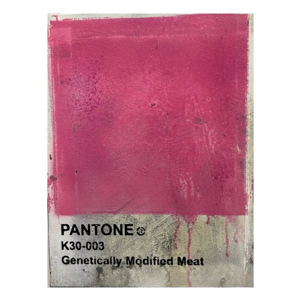 Click Here To Enlarge This Photo Of Genetically Modified Meat