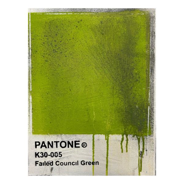 Click Here To Enlarge This Photo Of Failed Council Green
