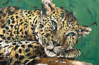 Kate RoseCaptivateOriginal ~ Oil on Canvas