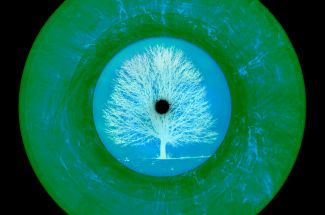 Richard HeepsVinyl Collection ‘LTD. ED. VINYL (Summer)Signed Limited Edition