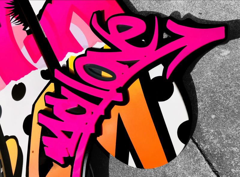 Click Here To Enlarge This Photo Of 'Fracas'