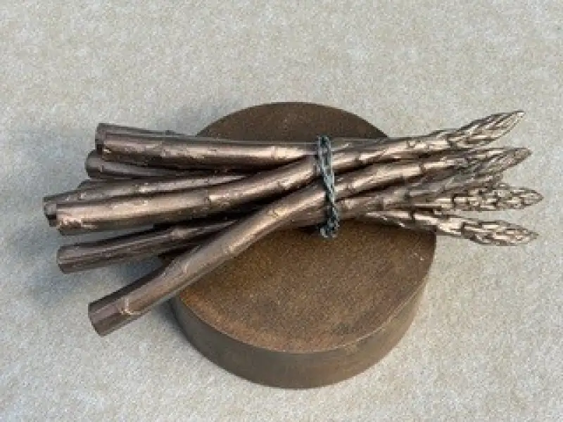 Click Here To Enlarge This Photo Of Bronze Asparagus