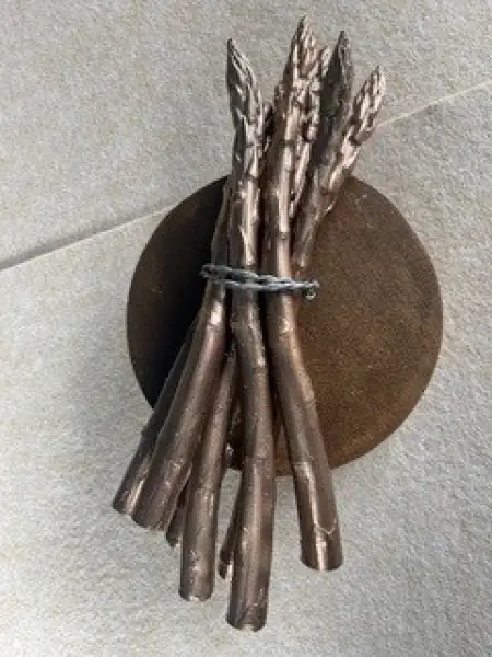 Click Here To Enlarge This Photo Of Bronze Asparagus