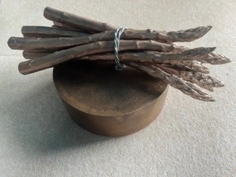 Click Here To Enlarge This Photo Of Bronze Asparagus