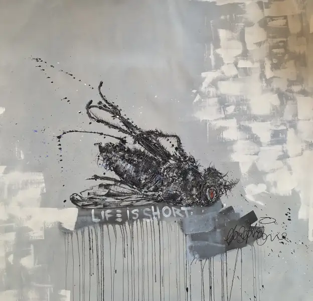 Click Here To Enlarge This Photo Of Dead Fly