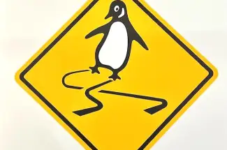 Jameson RobinsonSlippery When WetSigned Limited Edition