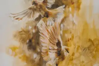 ArchiveOchre - Katy Jade DobsonSigned Limited Edition