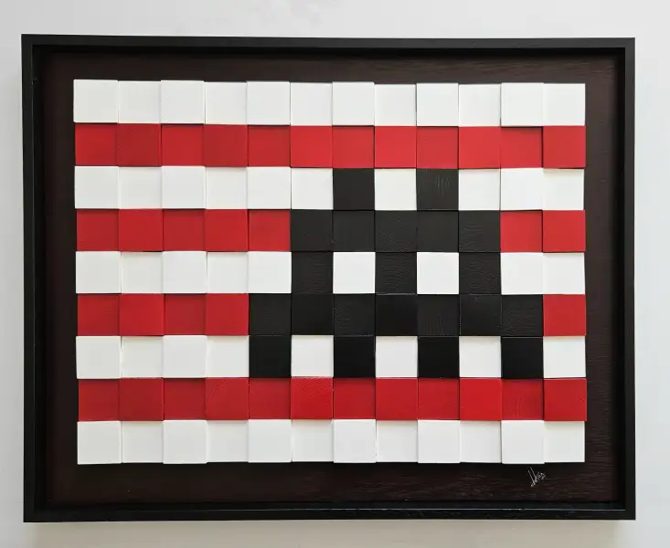 Click Here To Enlarge This Photo Of Black Invader #1