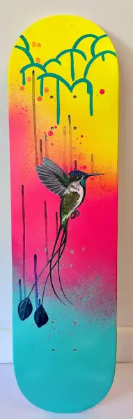 Click Here To Enlarge This Photo Of Marvellous Spatuletail Hummingbird - Skatedeck Series