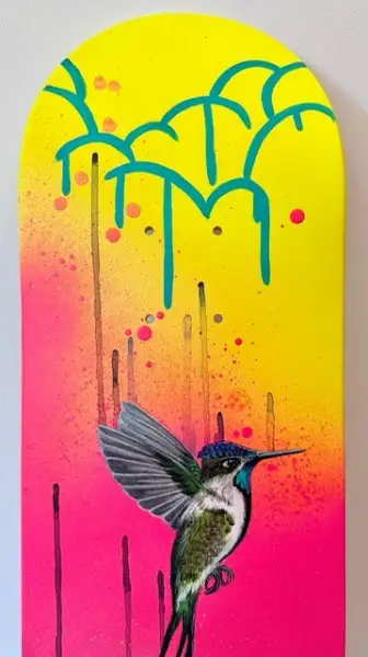 Click Here To Enlarge This Photo Of Marvellous Spatuletail Hummingbird - Skatedeck Series