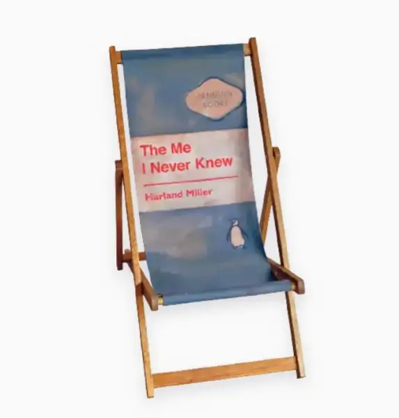 Click Here To Enlarge This Photo Of The Me I Never Knew - Deck chair