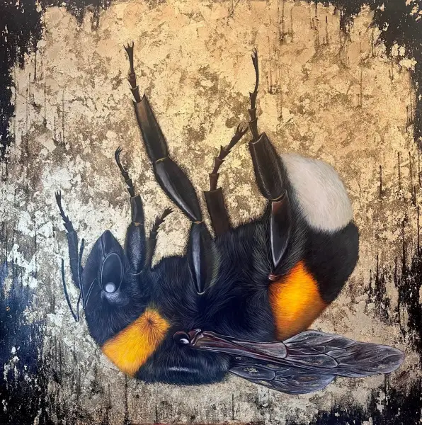 Click Here To Enlarge This Photo Of The Gilded Veil