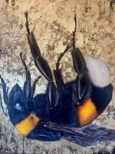 Click Here To Enlarge This Photo Of The Gilded Veil