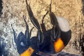 Louise McNaughtThe Gilded VeilOriginal ~ Mixed Media on Canvas