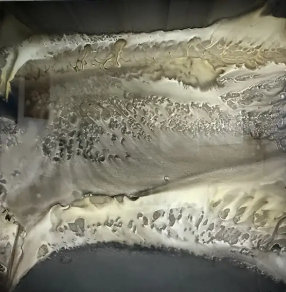 Click Here To Enlarge This Photo Of Passing Through