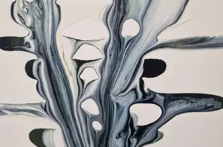 Kirsty MackayTolerance