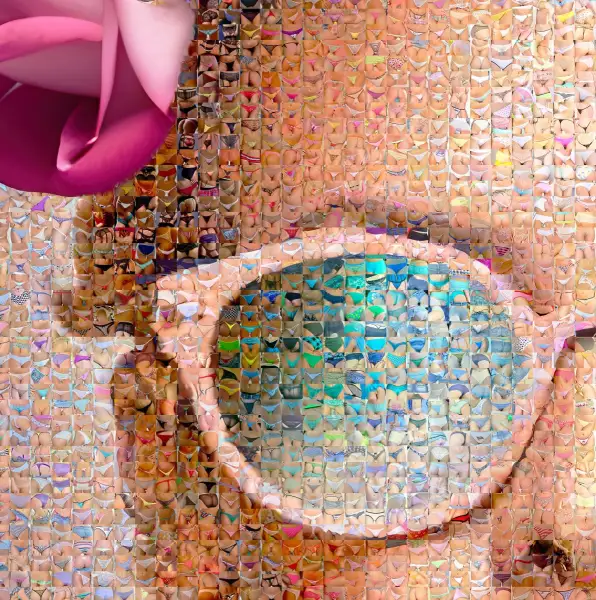 Click Here To Enlarge This Photo Of Symbiose