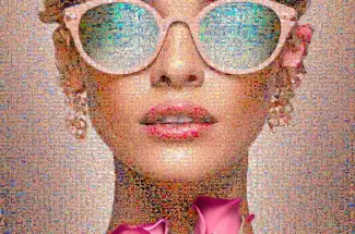 Joel Moens De HaseSymbiosePhotographic Mosaic