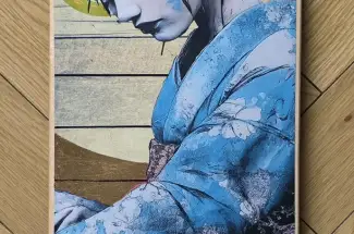 Gareth Tristan Evans &lpar;aka The Trunk of Funk&rpar;Powder BlueSkate Board Art