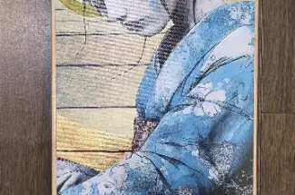 Gareth Tristan Evans &lpar;aka The Trunk of Funk&rpar;Powder BlueSkate Board Art