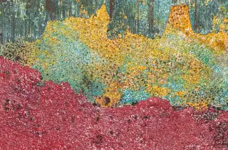 Sam PeacockFuchsia OreOriginal Mixed media on Steel