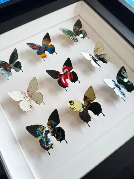 Click Here To Enlarge This Photo Of Rock N' Roll Butterflies II