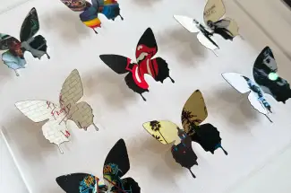 Gareth Tristan Evans &lpar;aka The Trunk of Funk&rpar;Rock N' Roll Butterflies IIOriginal Mixed Media