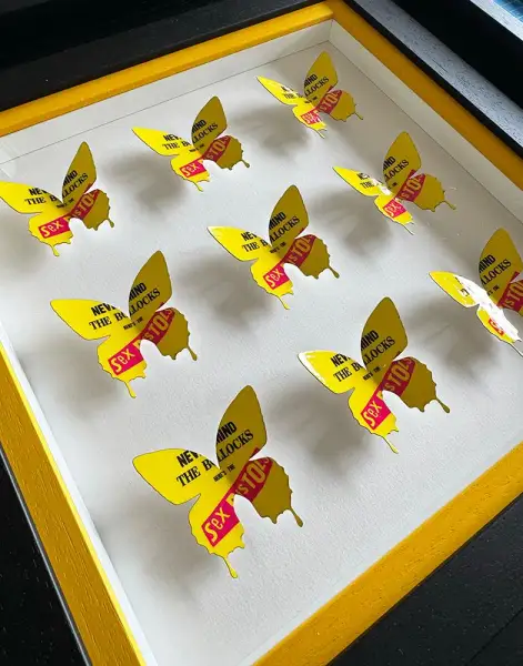 Click Here To Enlarge This Photo Of Punk Butterflies