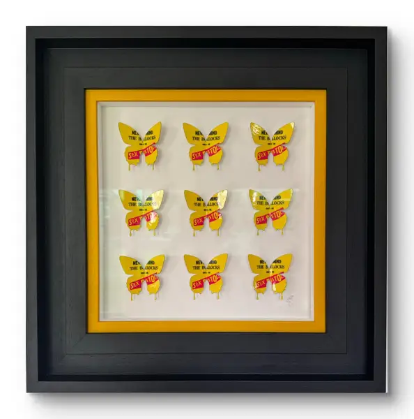 Click Here To Enlarge This Photo Of Punk Butterflies
