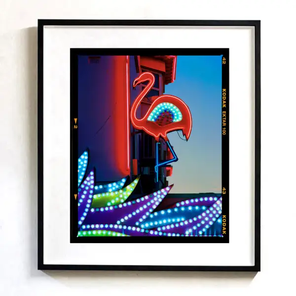 Click Here To Enlarge This Photo Of Neon Flamingo &lpar;Norfolk 202&rpar;