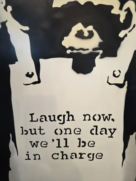 Click Here To Enlarge This Photo Of Laugh Now