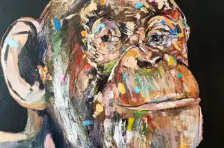Darren FraserCuriosityoriginal oil on canvas