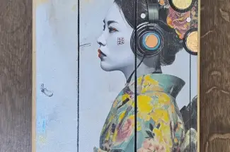 Gareth Tristan Evans &lpar;aka The Trunk of Funk&rpar;TripSkate Board Art