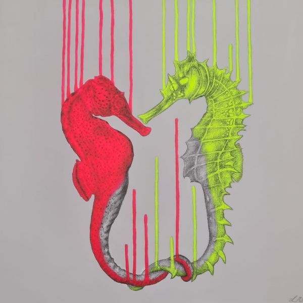Click Here To Enlarge This Photo Of Underwater Love