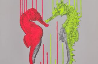 Louise McNaughtUnderwater LoveSigned Limited Edition