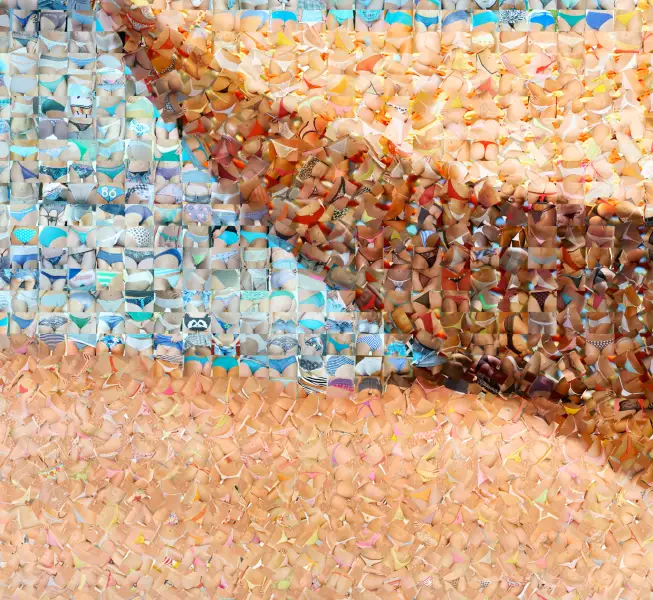 Click Here To Enlarge This Photo Of What Else