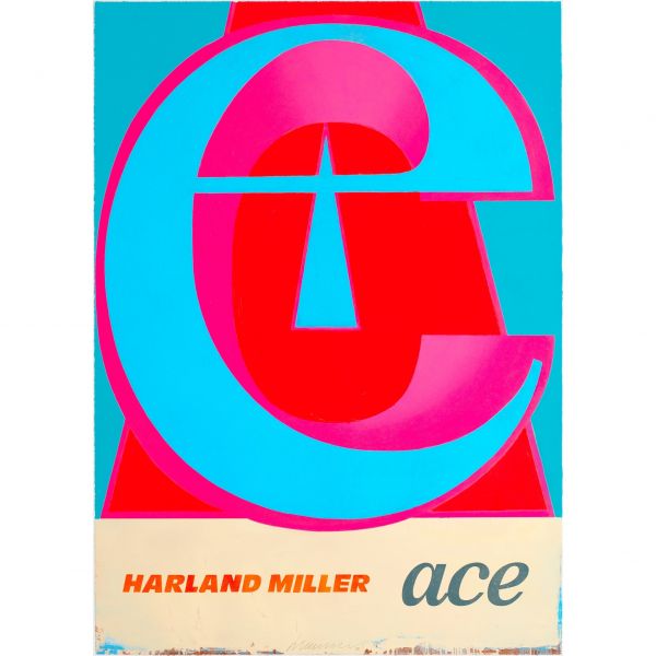 Click Here To Enlarge This Photo Of Ace