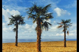 Richard HeepsThree Palms Clacton -on-Sea 2021Signed Limited Edition Photographic Print