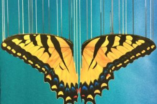 Louise McNaughtKissed by the Sun (Iridescent)Signed Limited Edition